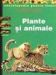 Plante si animale